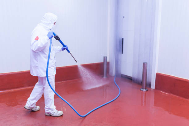 Best Restaurant Pressure Washing  in Pioche, NV